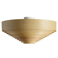 1005 Hans Ceiling Light 55