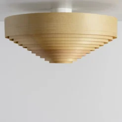 1005 Hans Ceiling Light 55