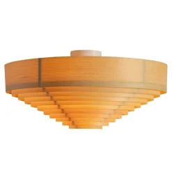 1005 Hans Ceiling Light 55