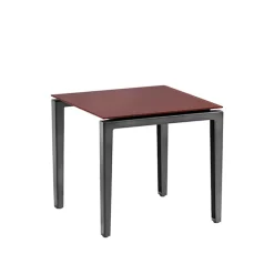 205 Scighera lavt bord Firkantet 50 x 50
