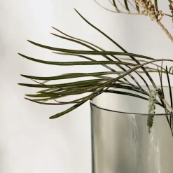 Aer vase