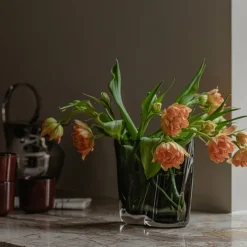 Aer vase