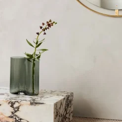 Aer vase