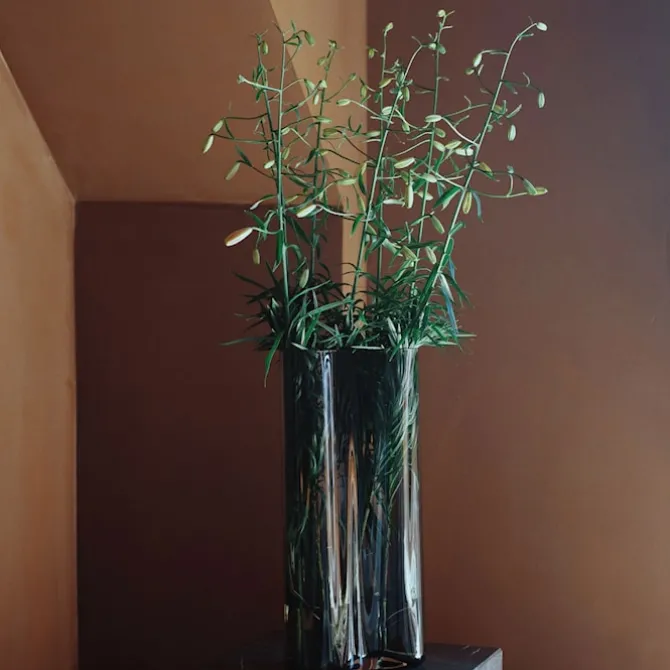 Aer vase
