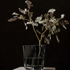 Aer vase