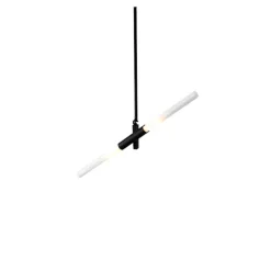 Agnes Pendant 2 lights