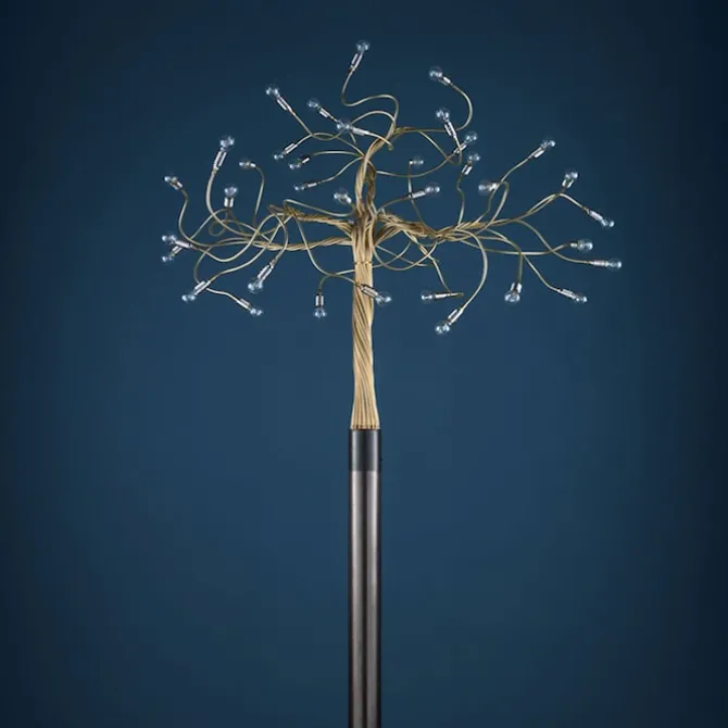 Albero Della Luce