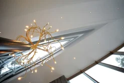 Albero Della Luce