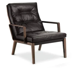 Andoo Lounge Chair