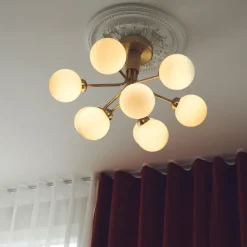 Apiales 9 Ceiling