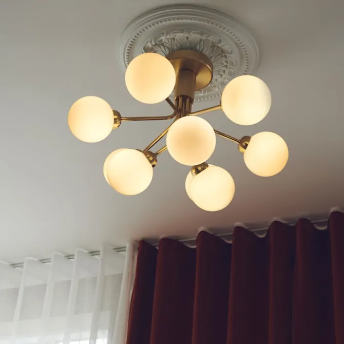 Apiales 9 Ceiling