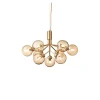 Apiales 9 Pendant