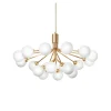 Apiales 18 Pendant