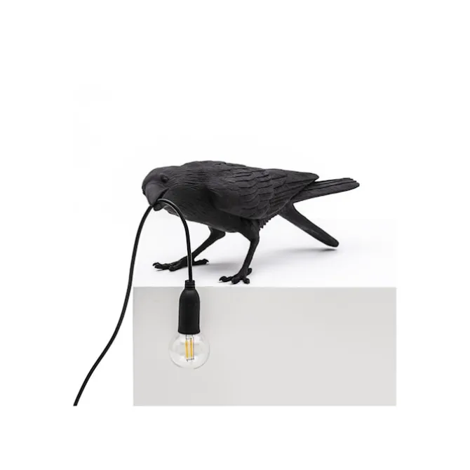 Bird Lamp Playing