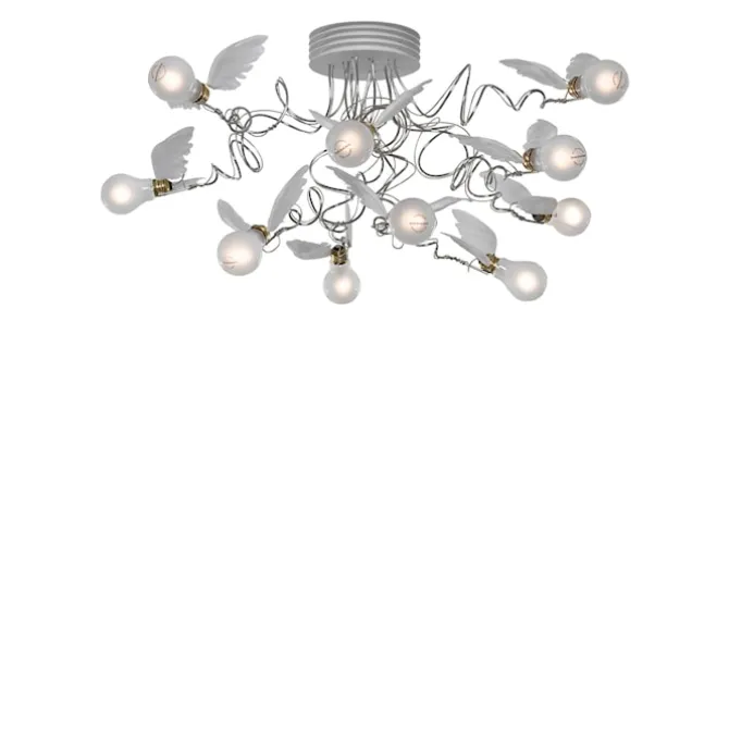 Birdies Nest LED
