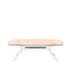 Blast Coffee Table