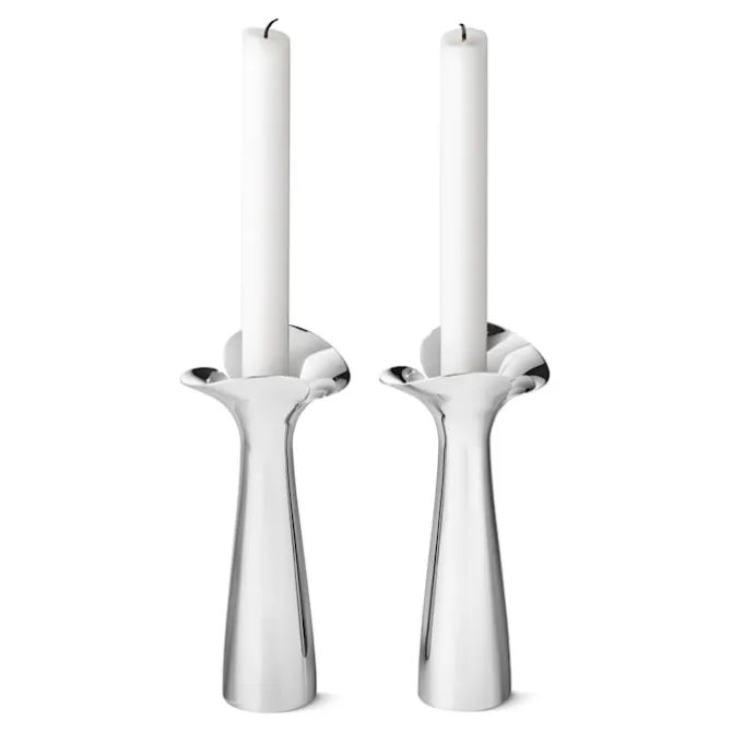 Bloom Botanica Candleholder Set