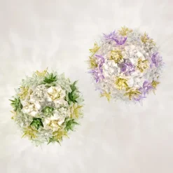 Bloom CW2