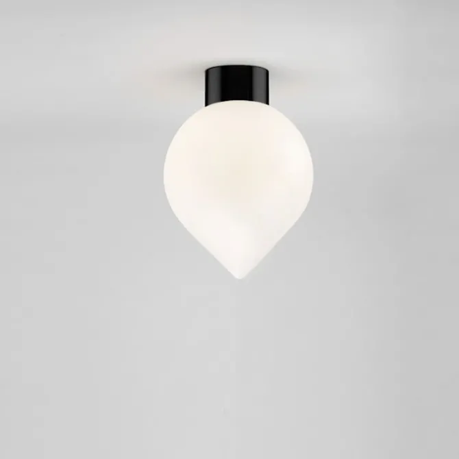 Bob Ceiling