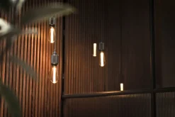 Buster Bulb