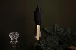 Buster Bulb