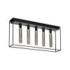 Caged Ceiling 5.0