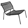 Carbon Frog Armchair