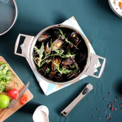 Casteline Removable Saucepan & Platine Lid