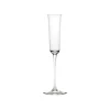 Champagne Glass Transparent Grace