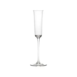Champagne Glass Transparent Grace
