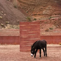 Colorado Rug Clay