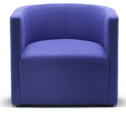 Confident Armchair