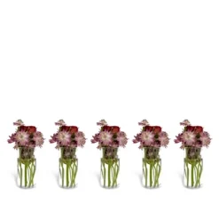 Constella Glass innsats 5-pak