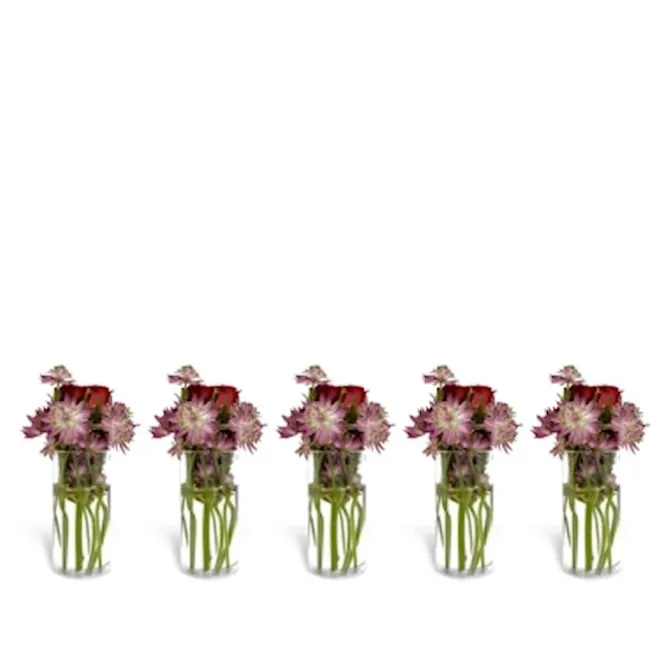 Constella Glass innsats 5-pak