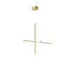Coordinates S1