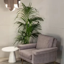 Cora Pendant 8 Lights