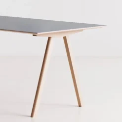 CPH10 2.0 skrivebord