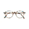 #D Reading - Blue Tortoise