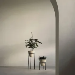 Daiza blomsterpotte
