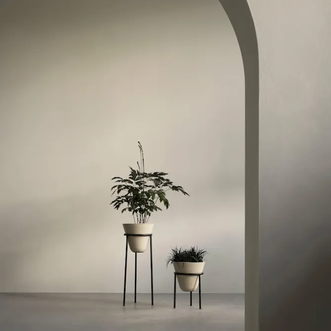 Daiza blomsterpotte