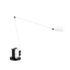 Daphine Bordlampe