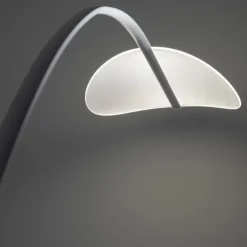 Diphy Floor Lamp