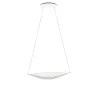 Diphy Suspension 2