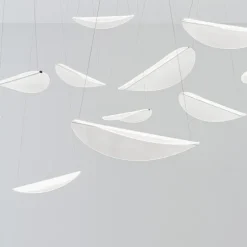 Diphy Suspension 2