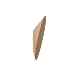 Disk Wall Hook