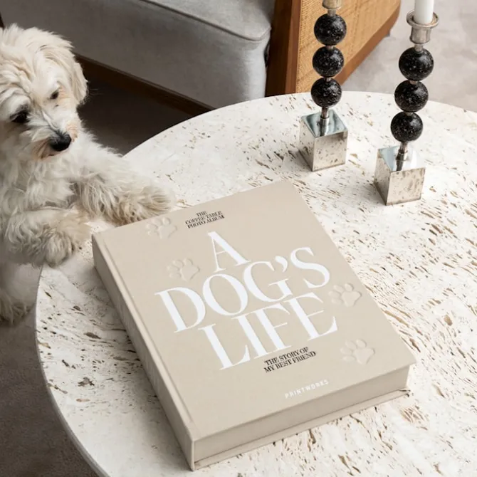 Dog Album - A Dog's Life