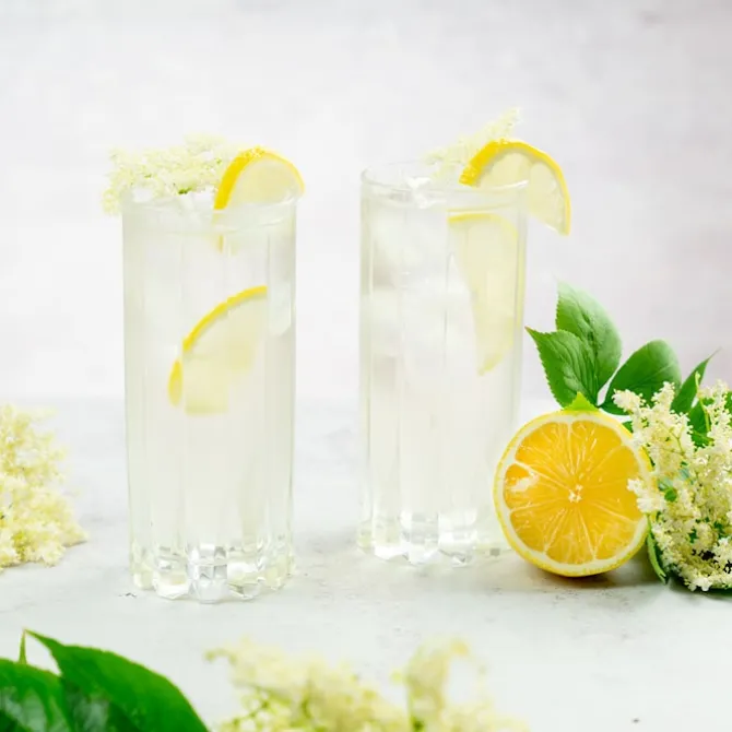 Drink Specific Highball 2-Pack