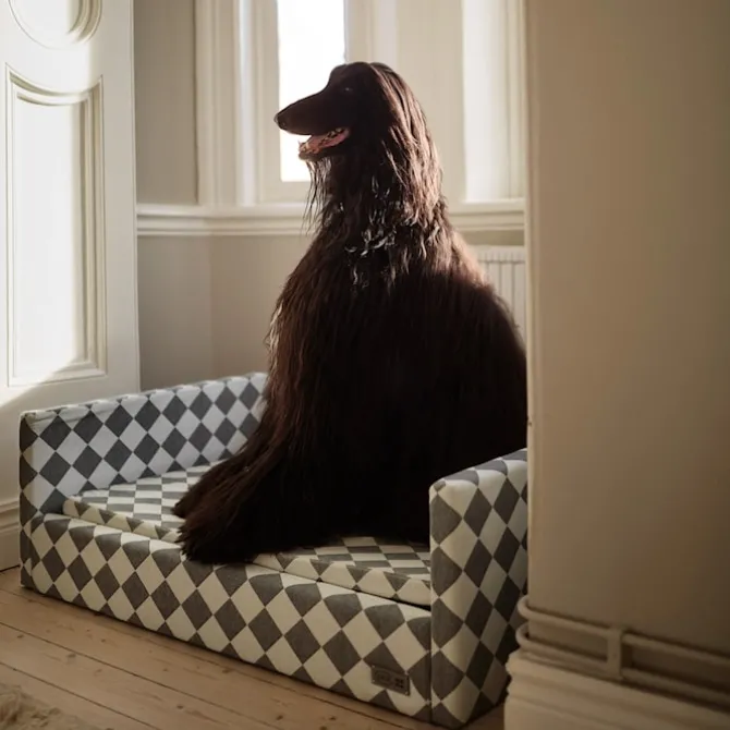 DUX Premium Dog Bed Exclusive Edition