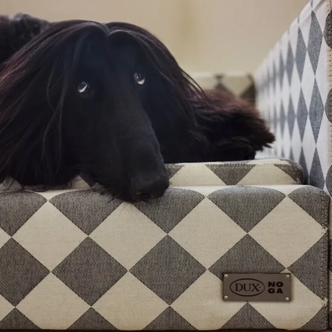 DUX Premium Dog Bed Exclusive Edition