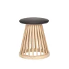 Fan Stool